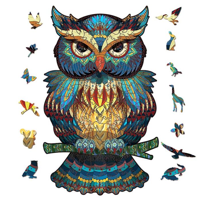 Colorful-Owl