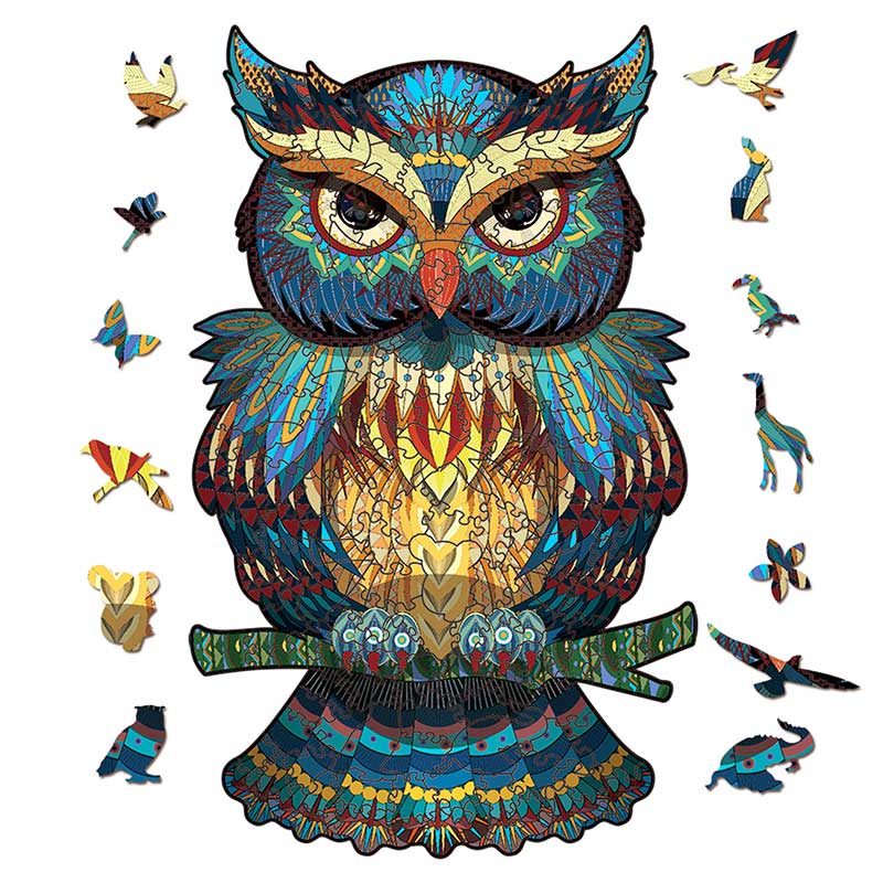 Colorful-Owl