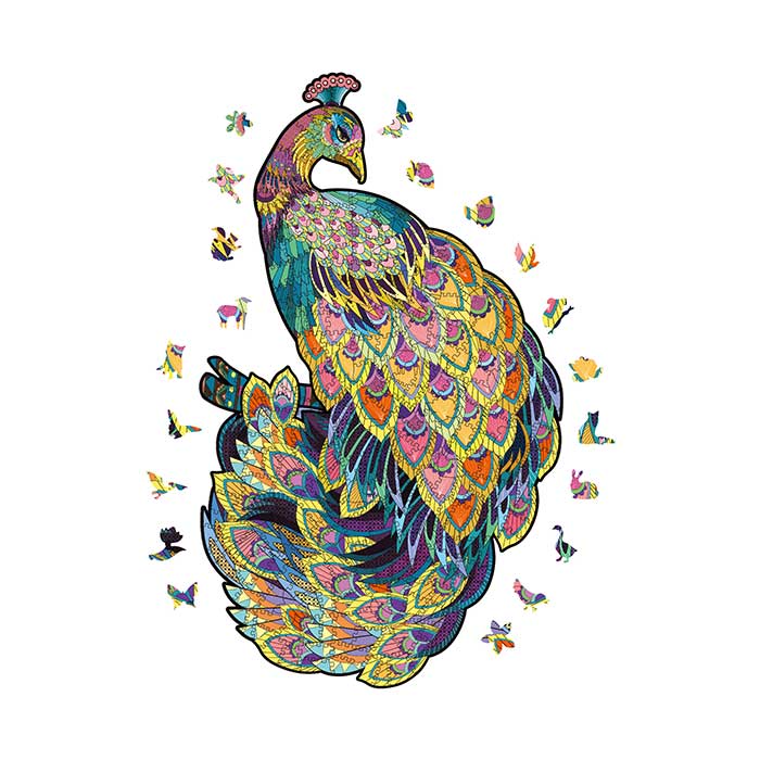 Colorful Peacock