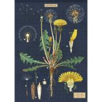 Dandelion Inspuzzle Wooden Puzzle - 1300