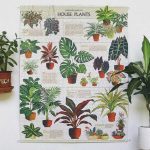 House Plants Wooden Puzzle