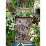 House Plants Wooden Puzzle