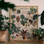 House Plants Wooden Puzzle