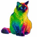 Rainbow Cat